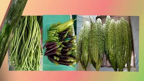 Cuyapon ES SBFP video presentation