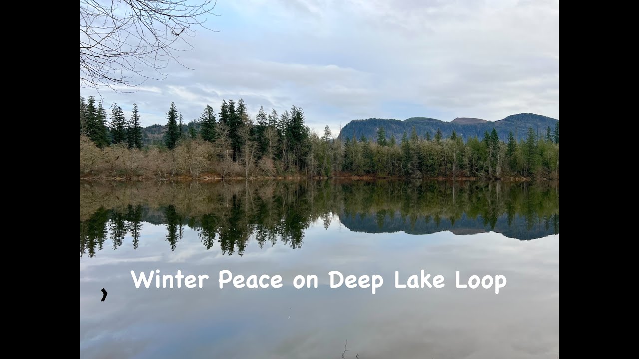 Государственный парк Нолте | Энумкло, штат Вашингтон