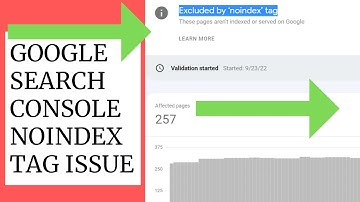 How To Fix Excluded by ‘noindex’ tag Errors in Google Search Console WordPress