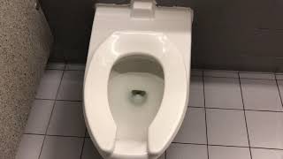 [BT] Random Toilets at the Miami International Airport in Miami, FL