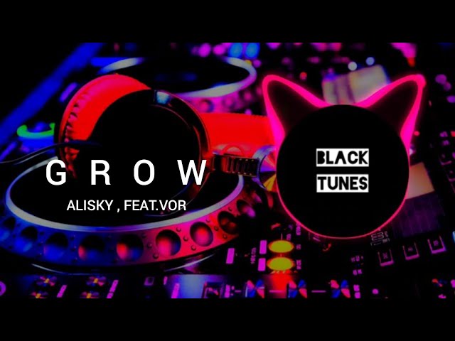 Alisky - Grow (feat. VOR) [Black Tunes Release] class=