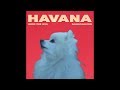 Gabe the dog - Havana