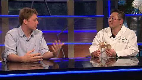 Dr. Alexander Cho Discusses broken shoulders with ...
