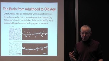 Chapter 12 Development and Learning