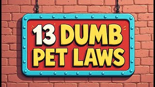 13 Weird Pet Laws in US That Will Blow Your Mind!