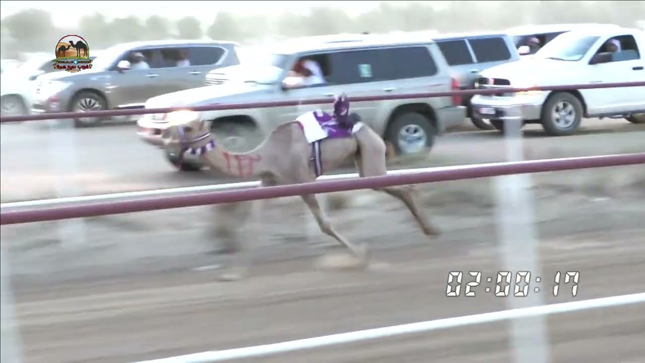 فيديو ميدان السد31.07.2022 الأحد شارة صندوق السد