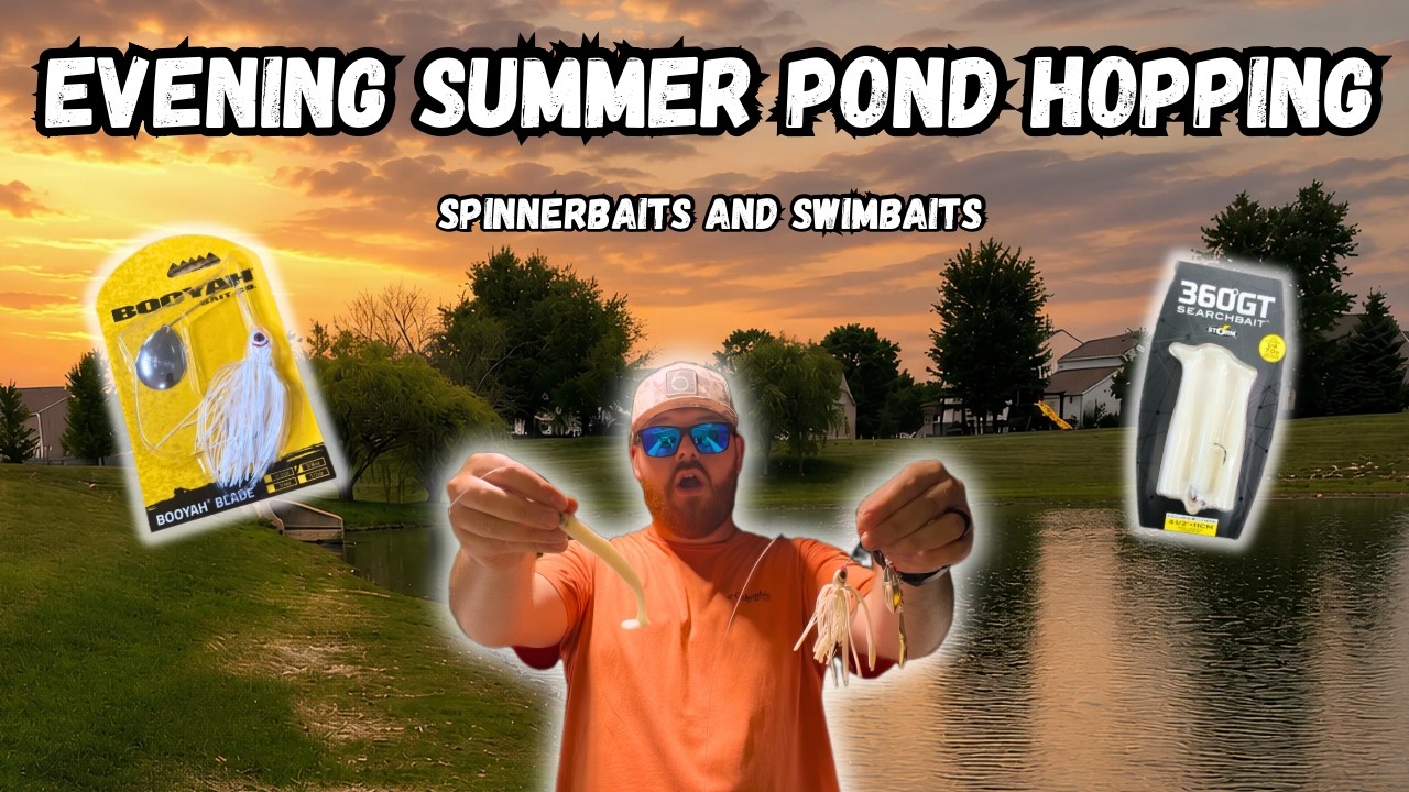Evening Summer Bass (Spinnerbaits and Swimbaits)