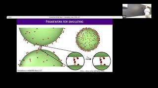 Brandeis MRSEC Seminar | Dr. Glen Hocky | Modeling assembly of colloids ...