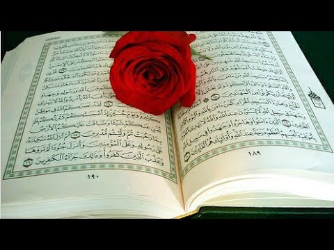 كيف نحيا بالقرآن