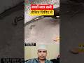 🙄लाड-प्यार बच्चों को अपाहिज बना रहा है? | चिड़िया का यह सबक हर माता-पिता के लिए ज़रूरी है! #facts