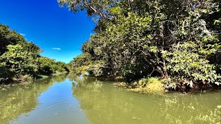 PANTANAL EM BRASÍLIA! LAGO PARANOÁ