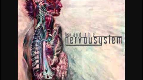 Fear and the Nervous System - "Dissolve"