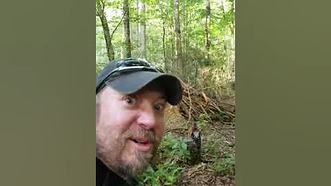 Janice Carter , Bigfoot Structure!