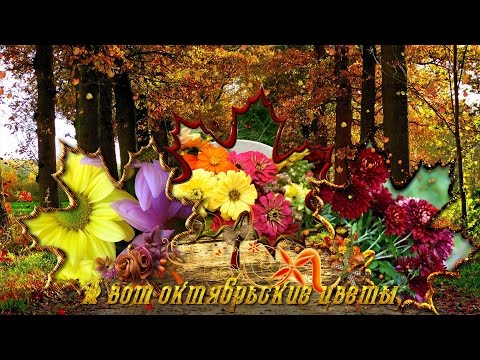 Цветы октября и красивая музыка для тебя, красавица!