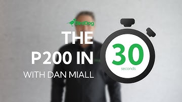 The P200 in 30 Seconds with Dan Miall