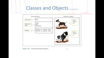 Programming Logic Object-Oriented Programming Basics