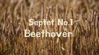 베토벤 7중주 Op.20 Beethoven Septet In E Flat Op.20