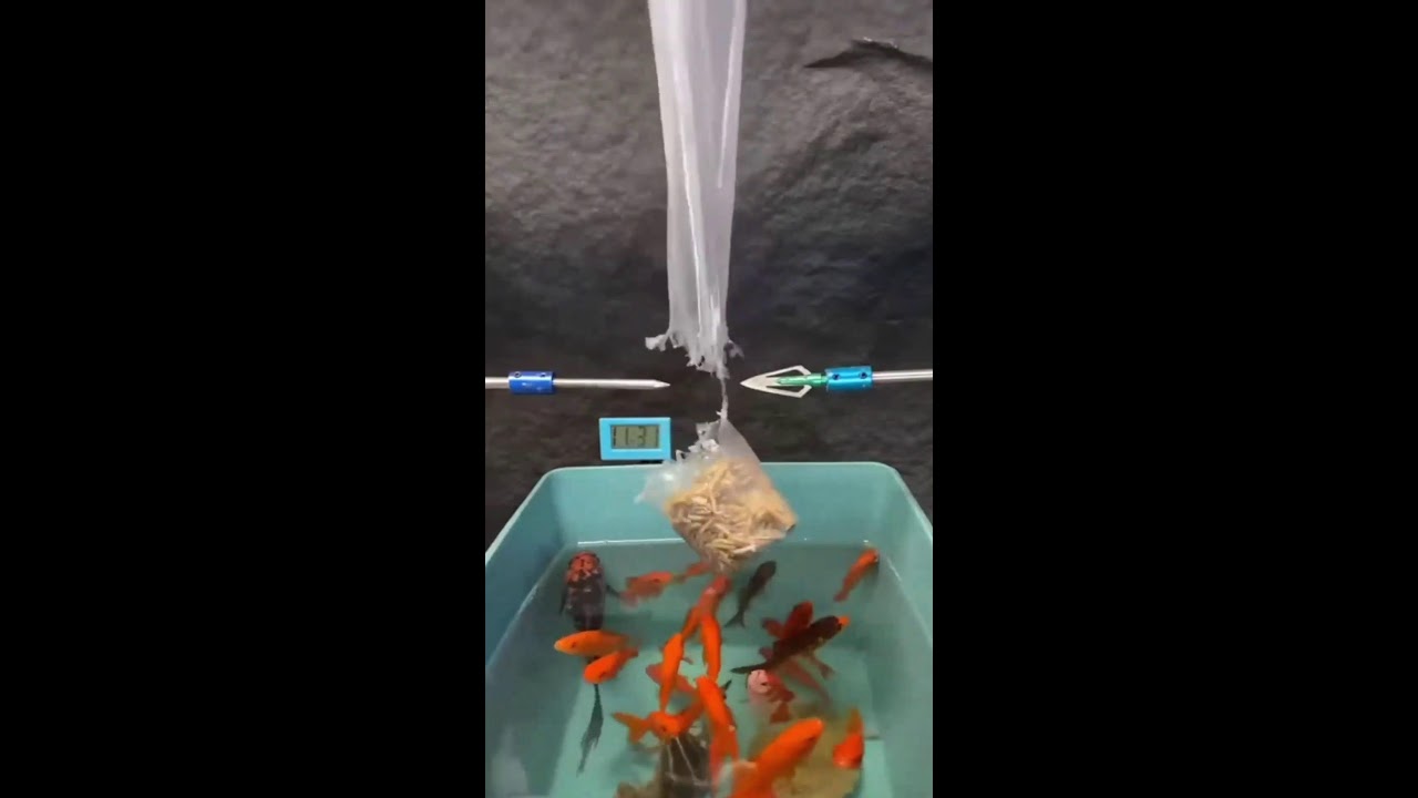 СТРИМ ОНЛАЙН ШОРТС ИГРАЕМ