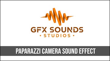 Paparazzi Camera Sound Effect