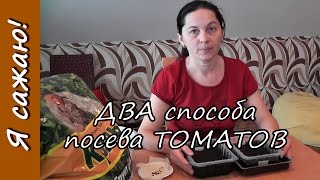 ДВА способа посева ТОМАТОВ на рассаду. Я сажаю.