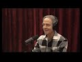 Joe Rogan Experience #2385: Rick Strassman πΏ