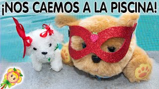  Cremita, la hermanita de Brownie, se cae a la piscina  Cachorro al agua, ayuda Hada de Fresa!