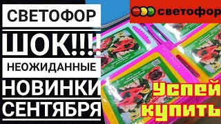 СВЕТОФОР ШОКировал новинками‼️НЕОЖИДАННО ▶️Успей купить по низкой цене Последние новинки сентября