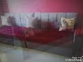 اولاد الحاج نصحى السيد