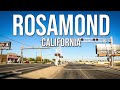 Discovering rosamond a desert oasis in california