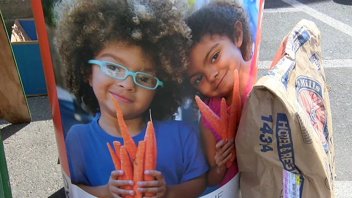 Community Service Day Citywide Food Drive