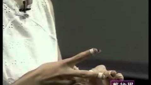 Yuan Sha - GuZheng Lesson04