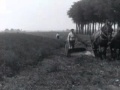 75 jaar drooglegging van de haarlemmermeer   1 juni 1927