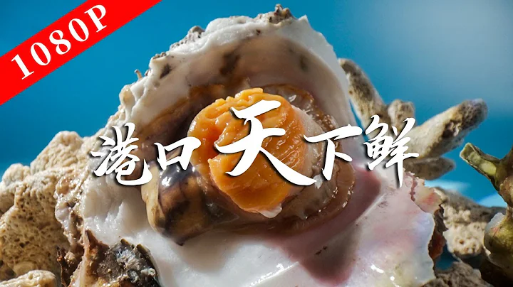 "The Taste of Lao Guang" Season 8 Episode 2 | Taste the sweetness of the sea! - DayDayNews