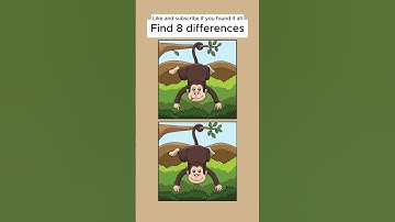Spot the 8 Differences - IMPOSSIBLE CHALLENGE!