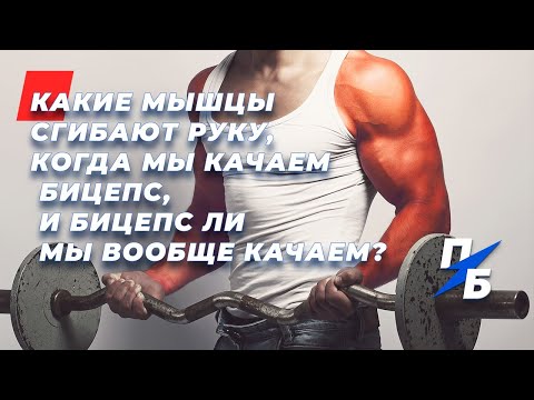 Video: Kā Veidot Plecu Bicepsu