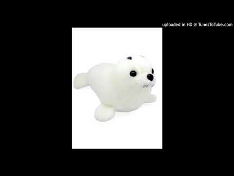 seal-type-beat-|-prod.-dredi