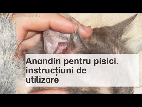 Anandin pentru pisici, instrucțiuni de utilizare, aplicație pentru câini