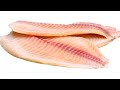 Mastering the Art of Cooking Tilapia: Essential Tips and Techniques