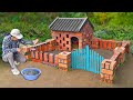 Rescue poor rabbits and builds new amazing shed for them