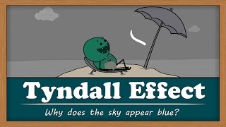 Tyndall Effect  Why does the sky appear blue? | #aumsum #kids #science #education #children