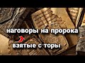 Абу Хурайра наговаривает на пророка Мухаммада мир ему!(СКРЫТАЯ ПРАВДА) || слова Мустафа аль-Адави