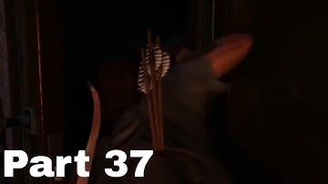 THE LAST OF US 2 Walkthrough Gameplay Part 37 - (Last of Us Part 2) - No Commentary  - PS4