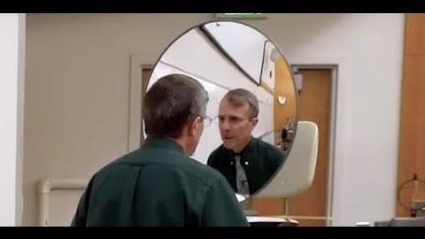 Convex Mirror Demo
