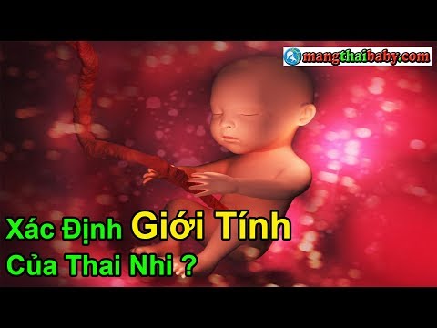 Video: Cách Xác định Giới Tính Của Trẻ Bằng Bụng Bầu