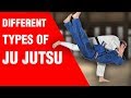 Different Types of Ju Jutsu | ART OF ONE DOJO