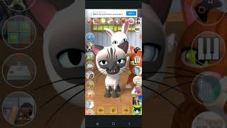 talking 3 friends cats and bunny and I have a few friends who iPad screenshot 5