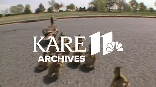 Ducks (1987) | From the Archives
