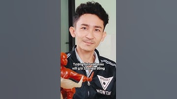 Khen thưởng nghệ nhân tạo hình linh vật "hoa hậu mèo" ở Quảng Trị #shorts