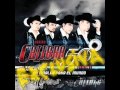 Celosa-Calibre 50 By Wikki