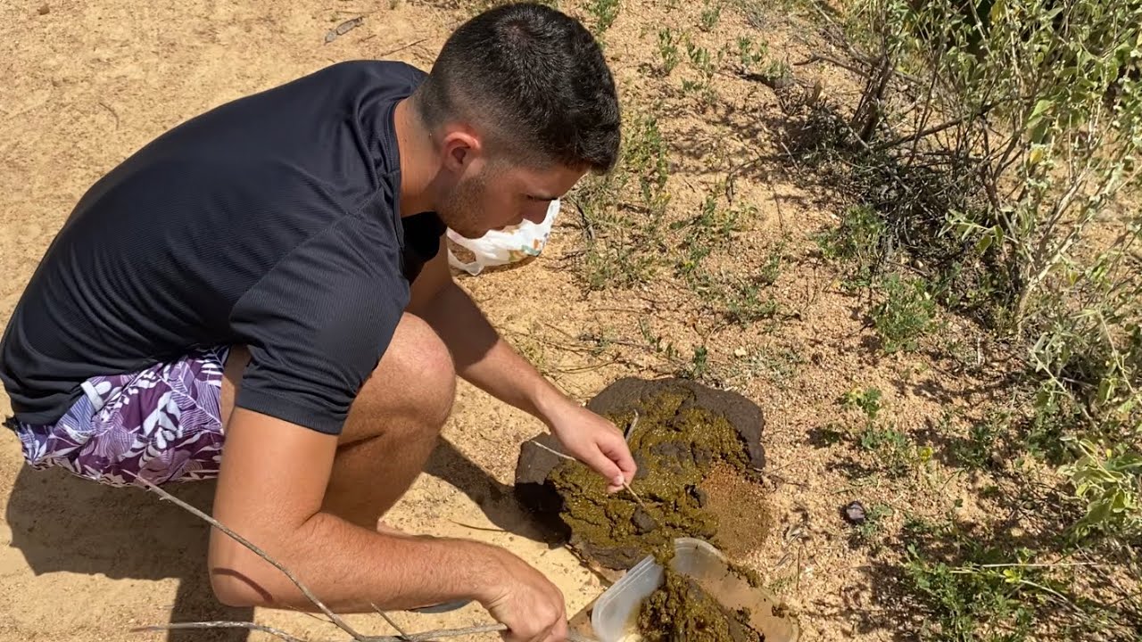 MOSTREI AO REI DAS SERPENTES COMO SE FAZ